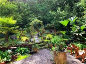 shrubs gallery contact Hardscapes and Stonework in Waxhaw NC