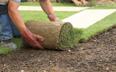 The Benefits of Hiring a Professional Lawn Maintenance Team