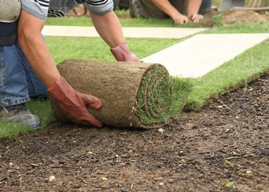 sod installation in Pineville NC