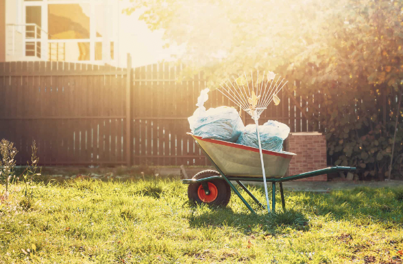 yard cleanups