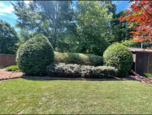 Mulch installation Monroe NC Landscape mulching South Charlotte Residential mulch services Matthews NC Commercial mulch installation Concord NC Bark mulch Monroe NC Wood chip mulch South Charlotte Pine needle mulch Matthews NC Flower bed mulching Concord NC Tree and shrub mulch Monroe NC Erosion prevention mulch South Charlotte Moisture-retaining mulch Matthews NC Weed prevention mulch Concord NC Professional mulch contractors Monroe NC Yard maintenance mulch South Charlotte Healthy landscape mulch Matthews NC Yard clean up Monroe NC Lawn maintenance South Charlotte Residential yard cleanup Matthews NC Commercial landscape cleanup Concord NC Leaf removal Monroe NC Fall yard cleanup South Charlotte Garden tidying Matthews NC Outdoor debris removal Concord NC Seasonal yard maintenance Monroe NC Landscape cleanup South Charlotte Property cleanup Matthews NC Yard care services Concord NC Pristine yard Monroe NC Outdoor cleanup experts South Charlotte Professional yard services Matthews NC