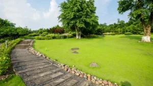 Landscape installation in Monroe NC Lawn maintenance service in South Charlotte Sod installation in Matthews NC Shrub planting and mulching in Indian Trail Yard drainage solution in Ballantyne NC Commercial landscaping project in Mint Hill Seasonal landscape cleanup in Waxhaw